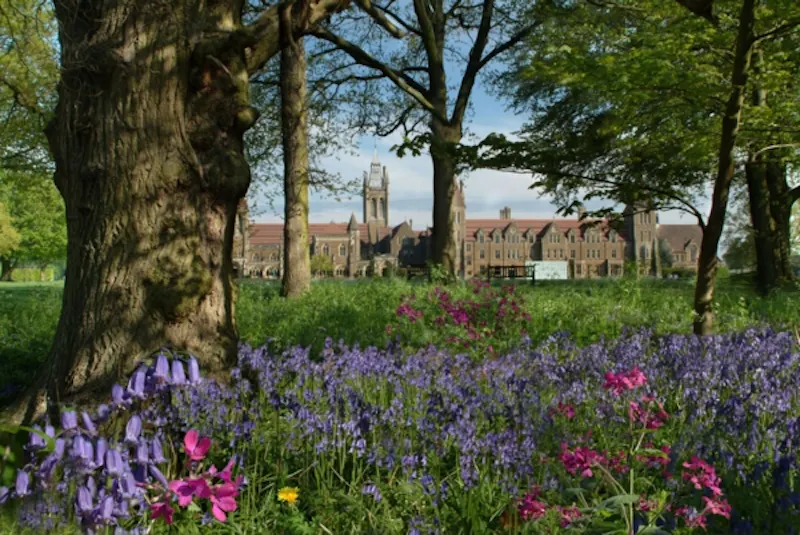 Garden at Film location J4 in Surrey (photo 15)