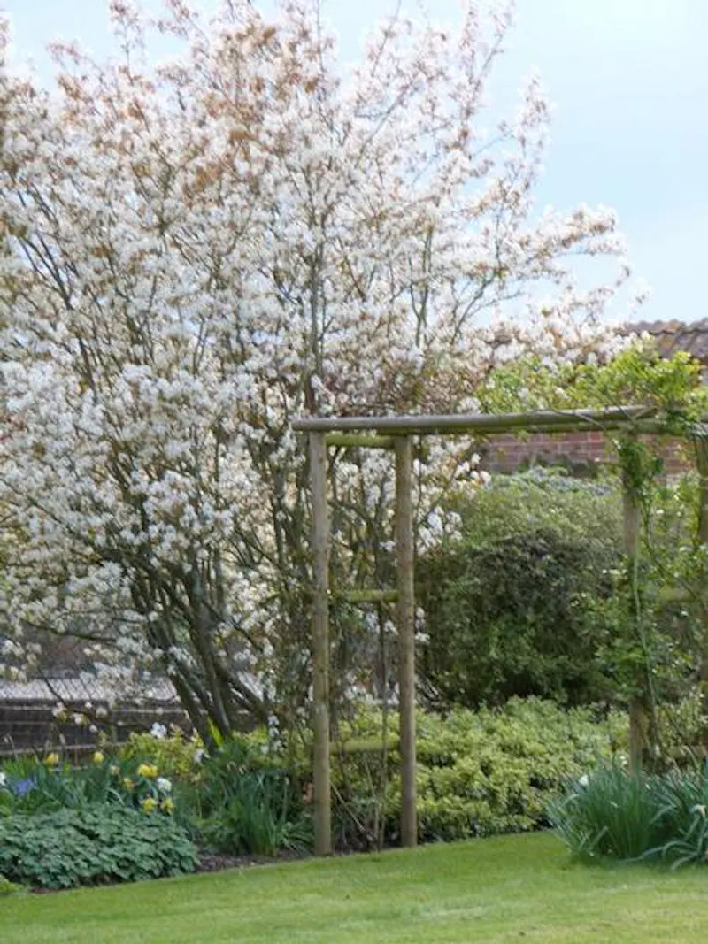 Film location L639 in Hampshire (photo 22)