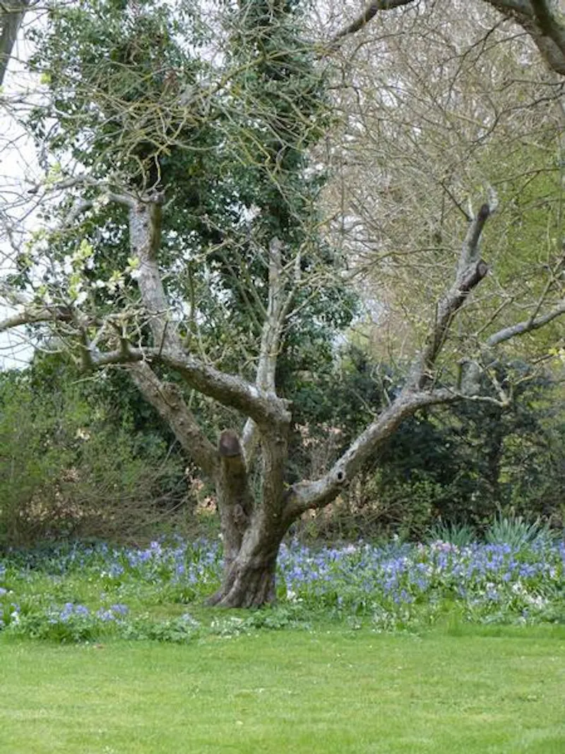 Film location L639 in Hampshire (photo 23)