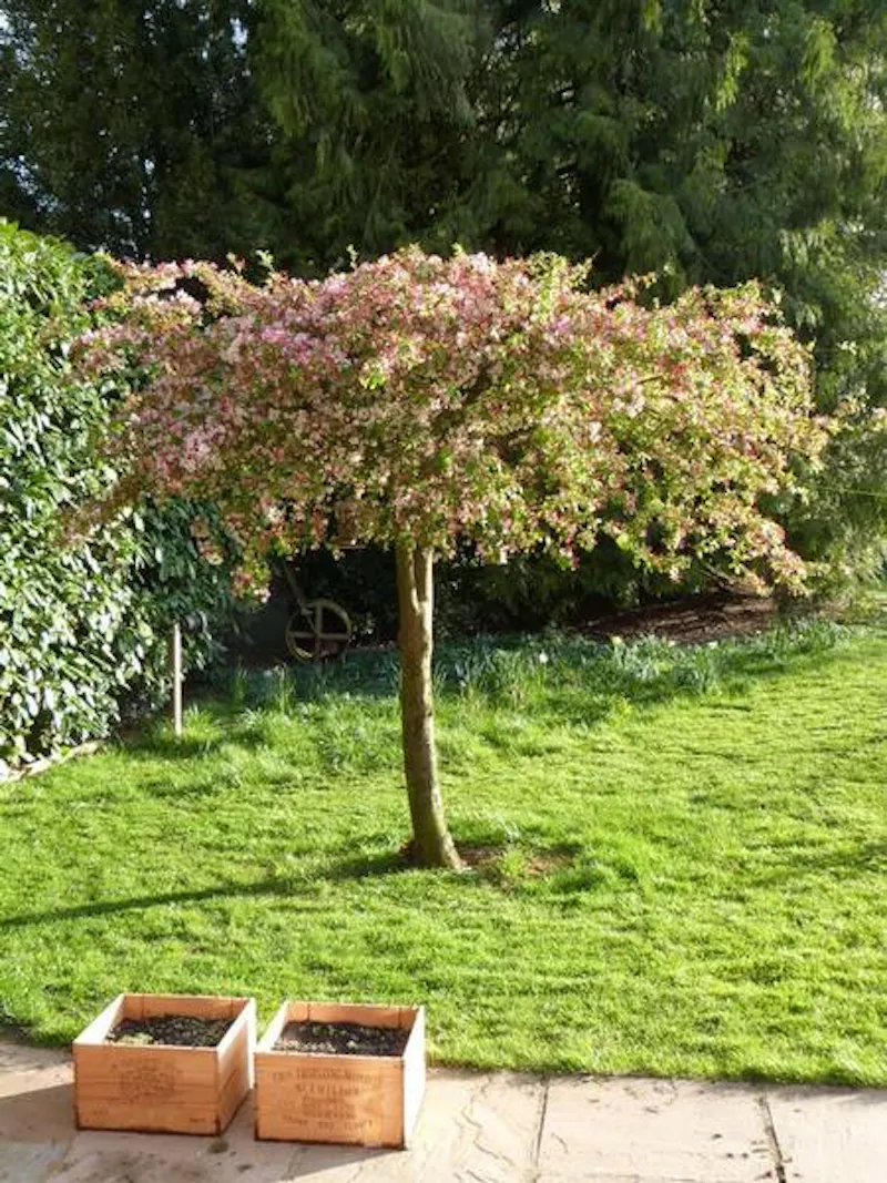 Film location L639 in Hampshire (photo 25)