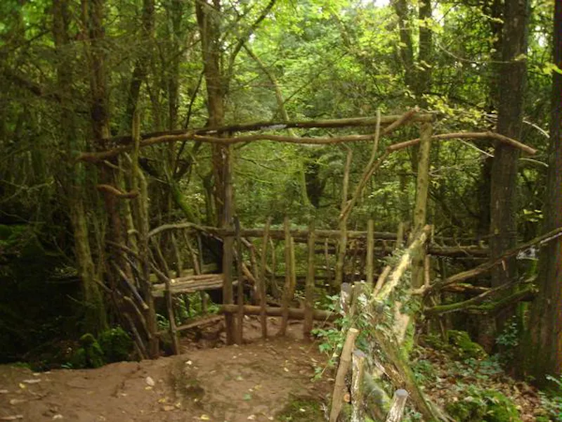 Forest of Dean woodand, W140 (photo 7)
