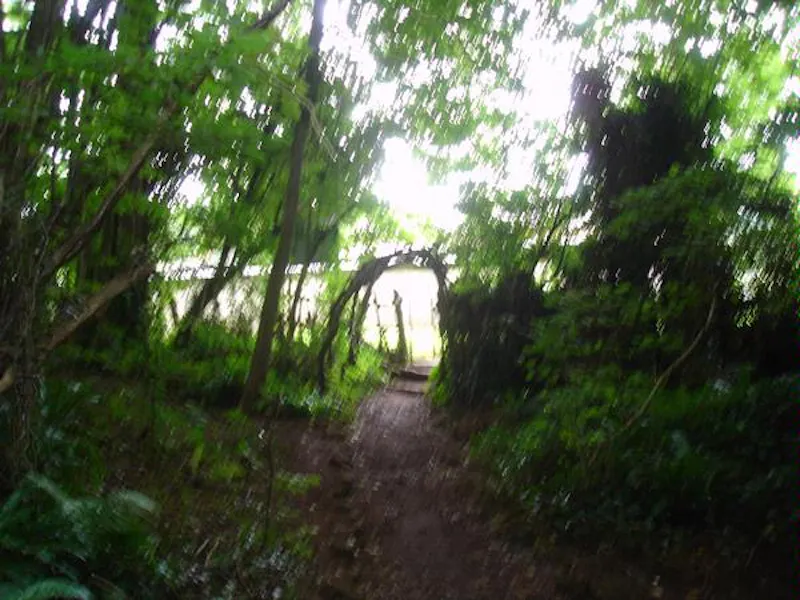 Forest of Dean woodand, W140 (photo 26)