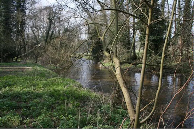 Elizabethan mansion near Hertford, H116 (photo 36)