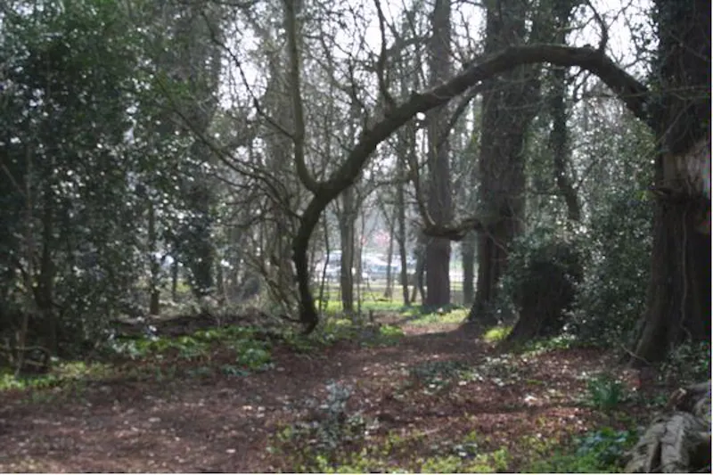 Elizabethan mansion near Hertford, H116 (photo 37)