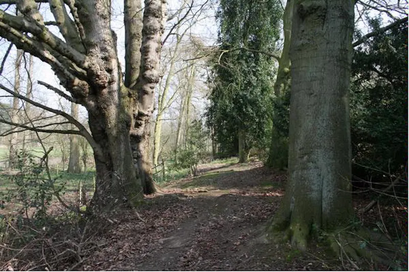 Elizabethan mansion near Hertford, H116 (photo 38)