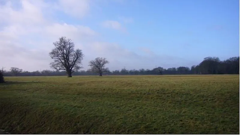 Scenic 16th century park in Woking, A523 (photo 57)
