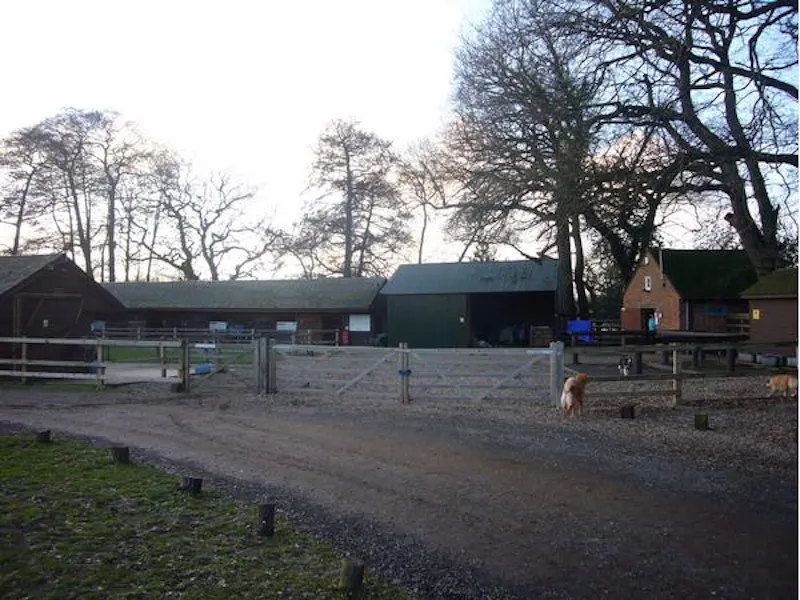 Scenic 16th century park in Woking, A523 (photo 56)