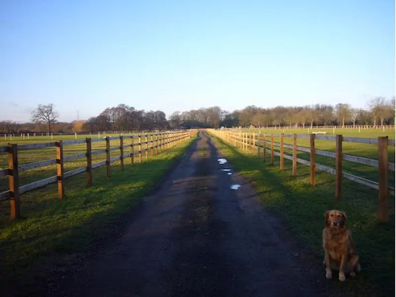 Scenic 16th century park in Woking, A523 (photo 55)