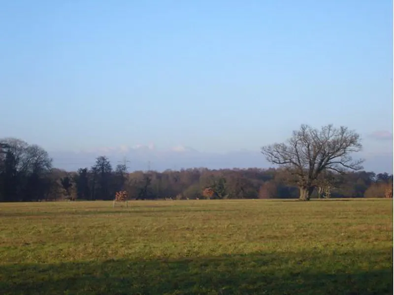 Views - country at Scenic 16th century park in Woking, A523 (photo 58)