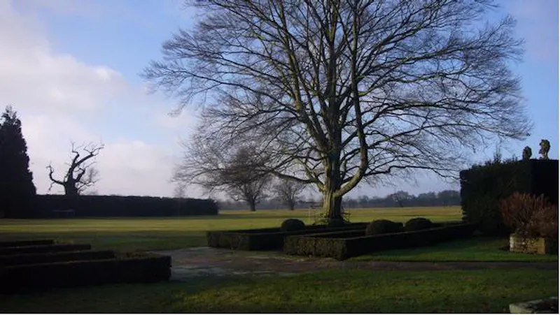 Scenic 16th century park in Woking, A523 (photo 61)