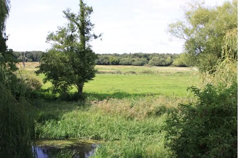 Scenic 16th century park in Woking, A523 (photo 59)