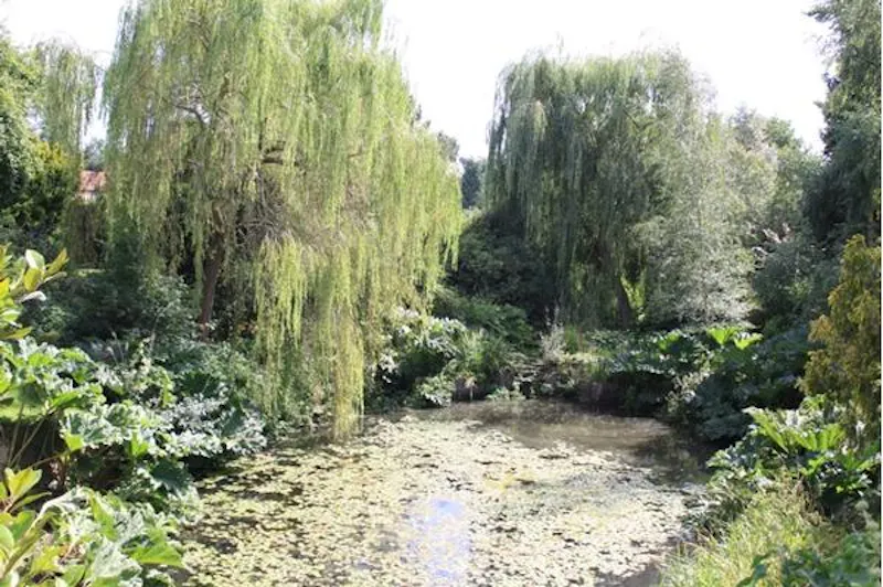 Scenic 16th century park in Woking, A523 (photo 47)