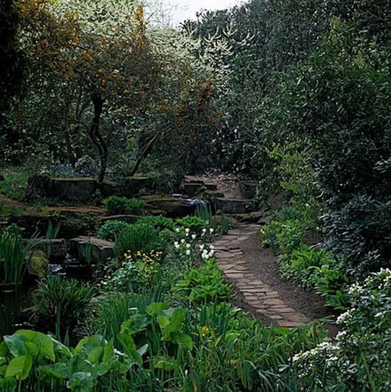 Garden - wild at Scenic 16th century park in Woking, A523 (photo 48)