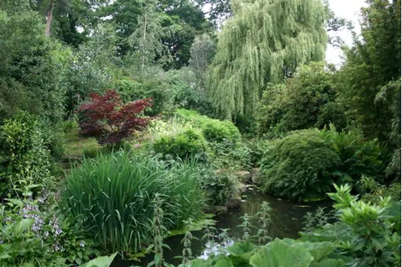 Scenic 16th century park in Woking, A523 (photo 51)