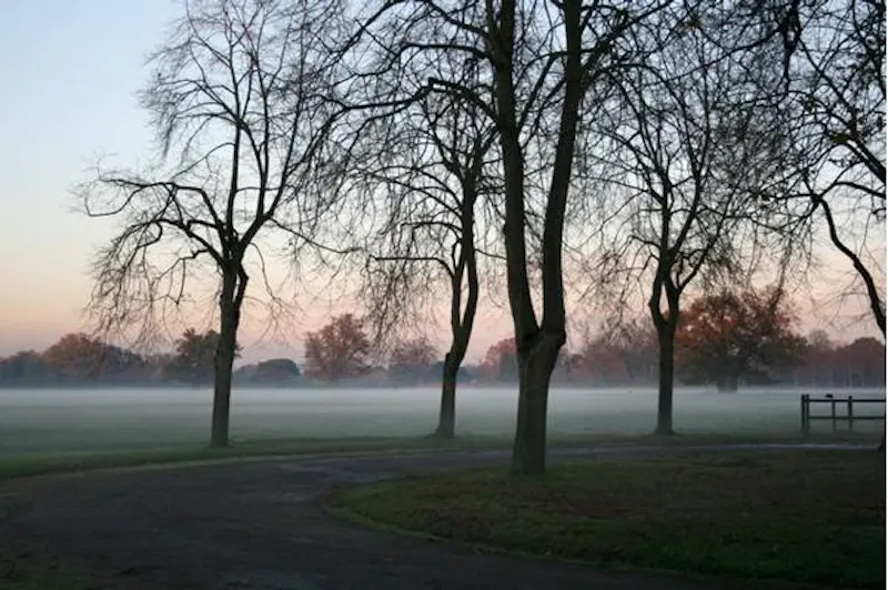 Scenic 16th century park in Woking, A523 (photo 64)