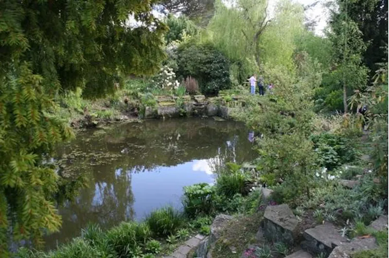 Scenic 16th century park in Woking, A523 (photo 63)