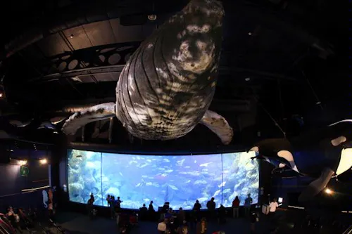 Large aquarium in Plymouth, Q47