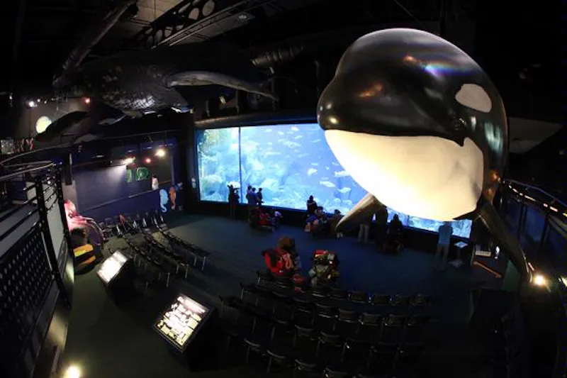 Large aquarium in Plymouth, Q47 (photo 3)