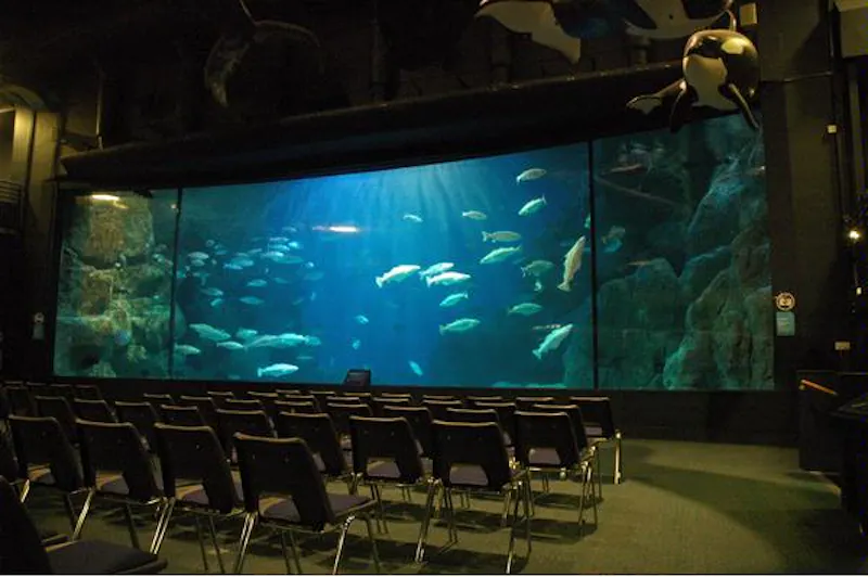 Large aquarium in Plymouth, Q47 (photo 4)