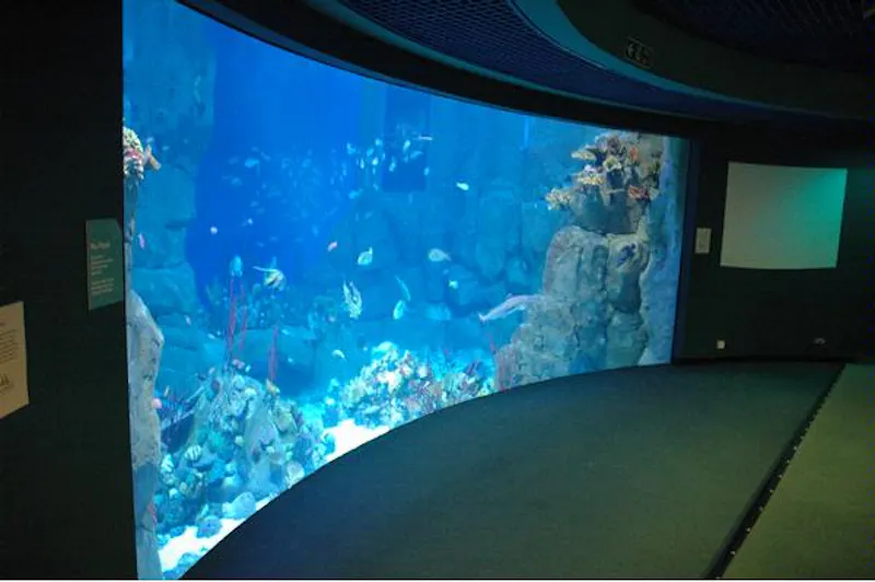 Large aquarium in Plymouth, Q47 (photo 5)
