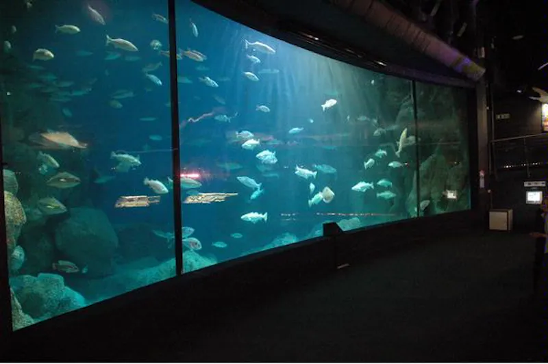 Large aquarium in Plymouth, Q47 (photo 6)