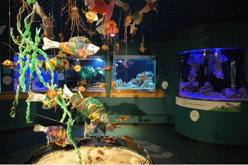 Large aquarium in Plymouth, Q47 (photo 8)