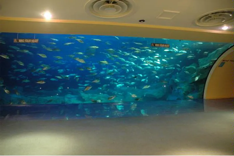 Large aquarium in Plymouth, Q47 (photo 10)