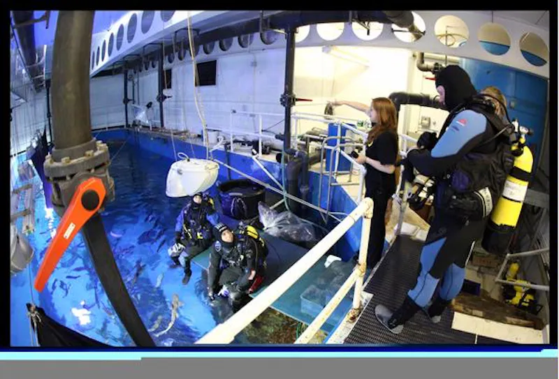 Large aquarium in Plymouth, Q47 (photo 11)
