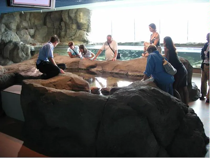 Large aquarium in Plymouth, Q47 (photo 12)