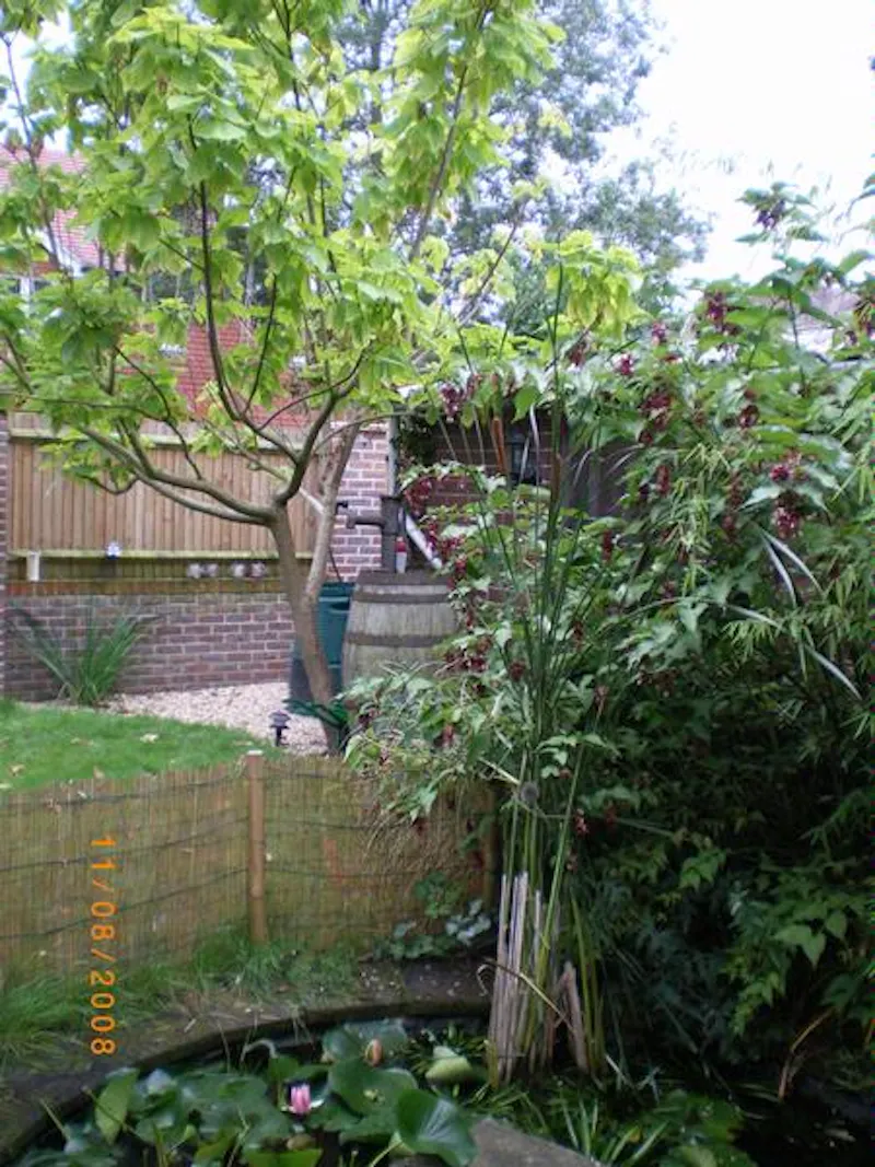 Pond at Film location E344 in London (photo 24)