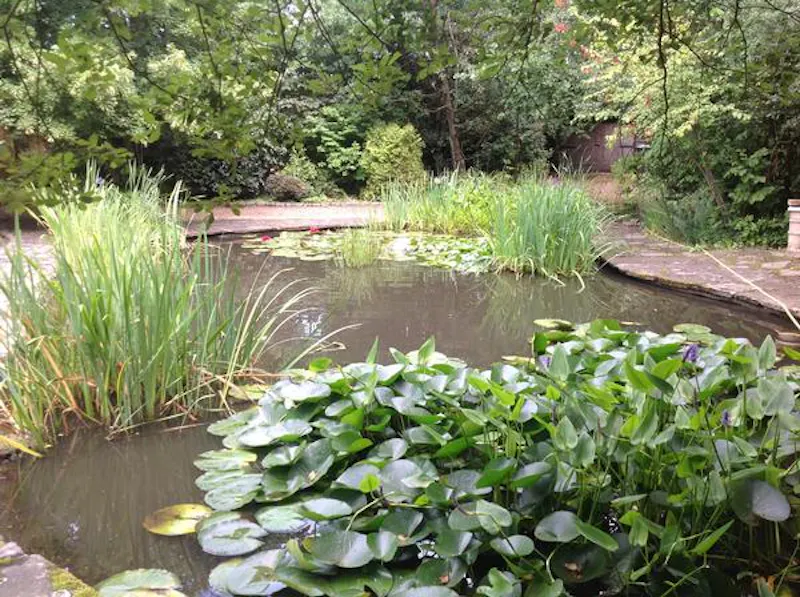 Film location D1280 in Middlesex (photo 61)