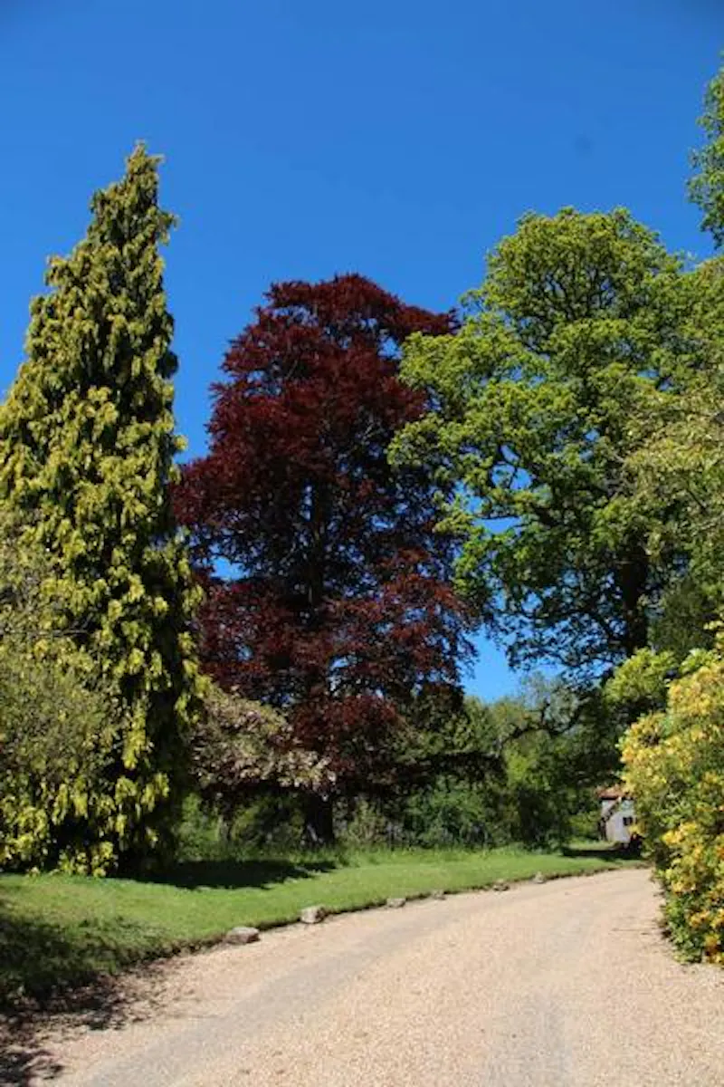 Country estate in Markbeech, B1526 (photo 72)