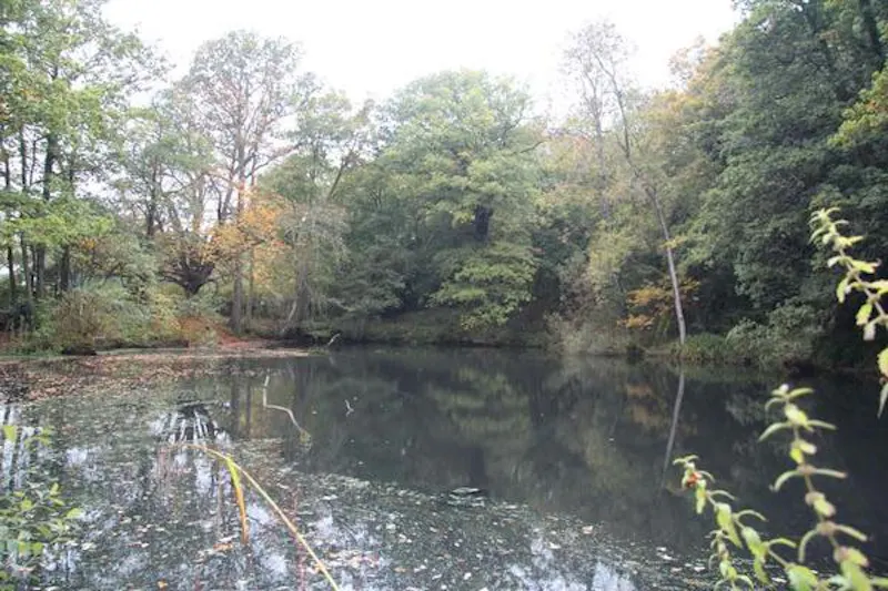 Lake at Country estate in Markbeech, B1526 (photo 85)