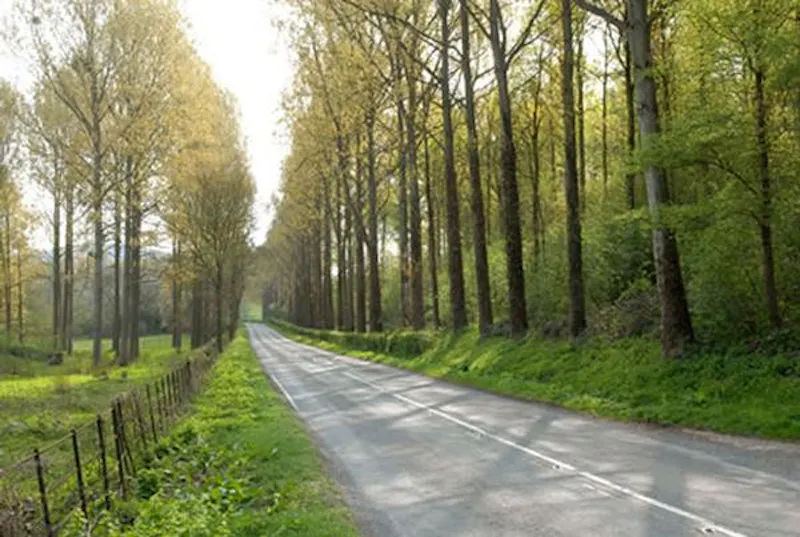 Driveway at Opulent castle in Ledbury, G273 (photo 62)