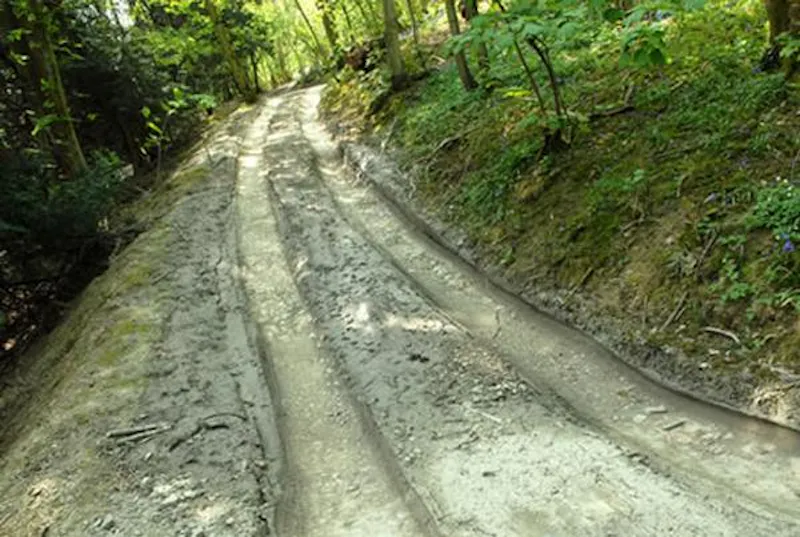 Driveway at Opulent castle in Ledbury, G273 (photo 63)