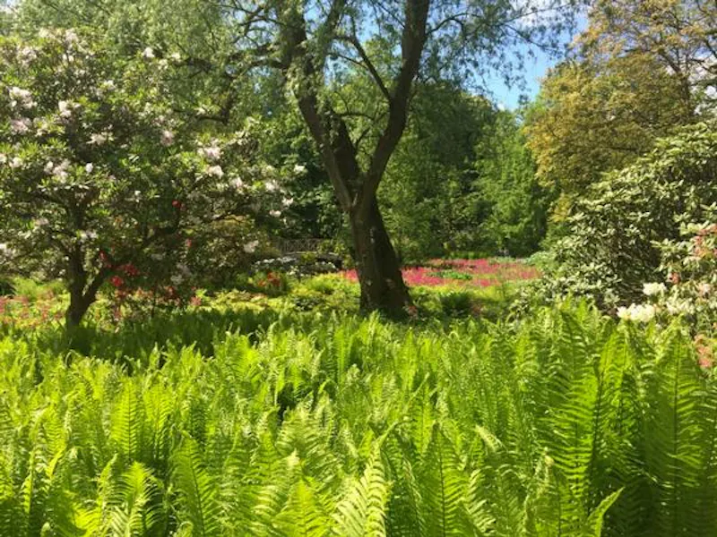 Leeds Country Estate , A217 (photo 65)