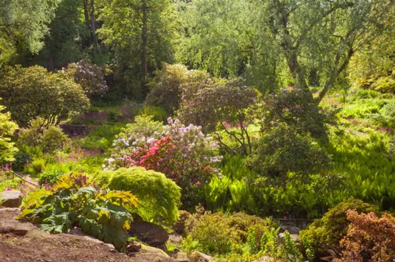 Garden at Leeds Country Estate , A217 (photo 67)