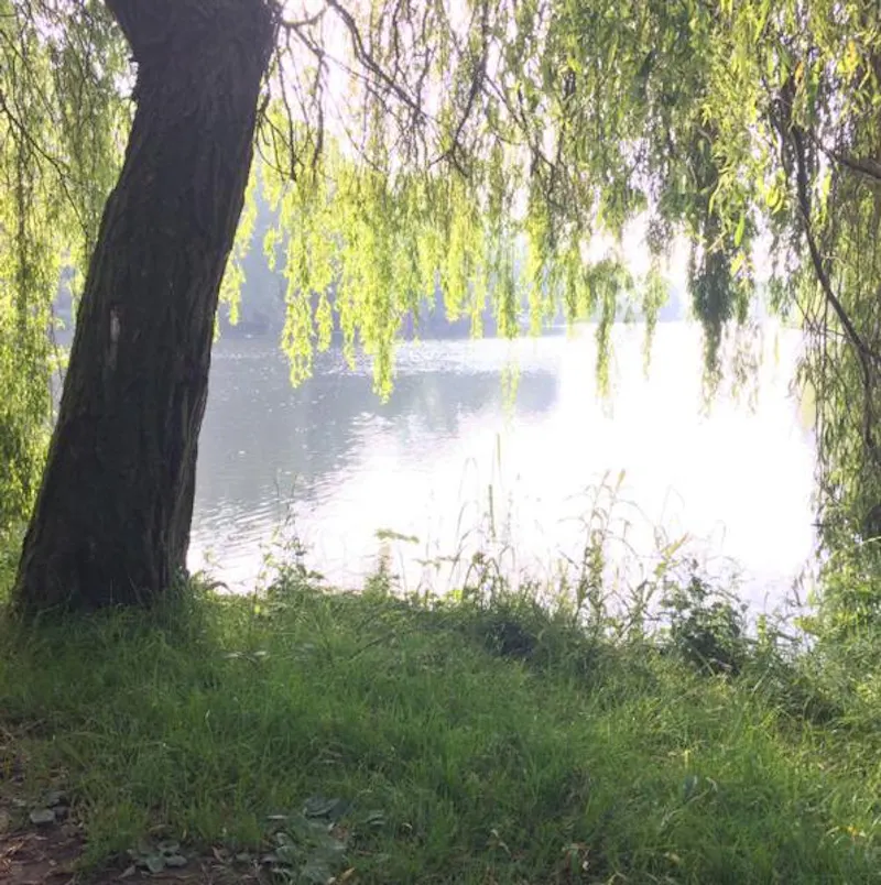 Lake at Leeds Country Estate , A217 (photo 72)