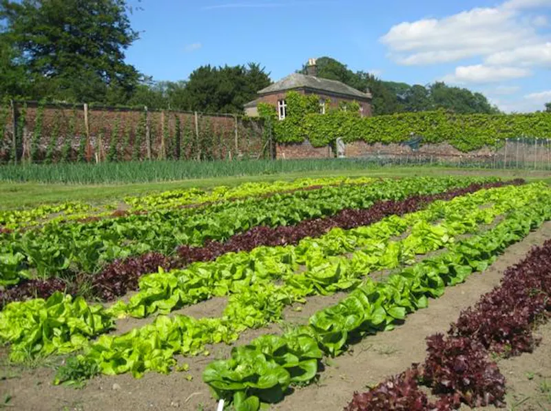 Garden - formal at Leeds Country Estate , A217 (photo 75)