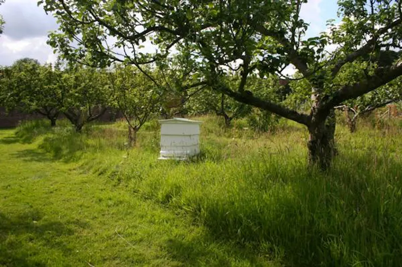 Leeds Country Estate , A217 (photo 76)