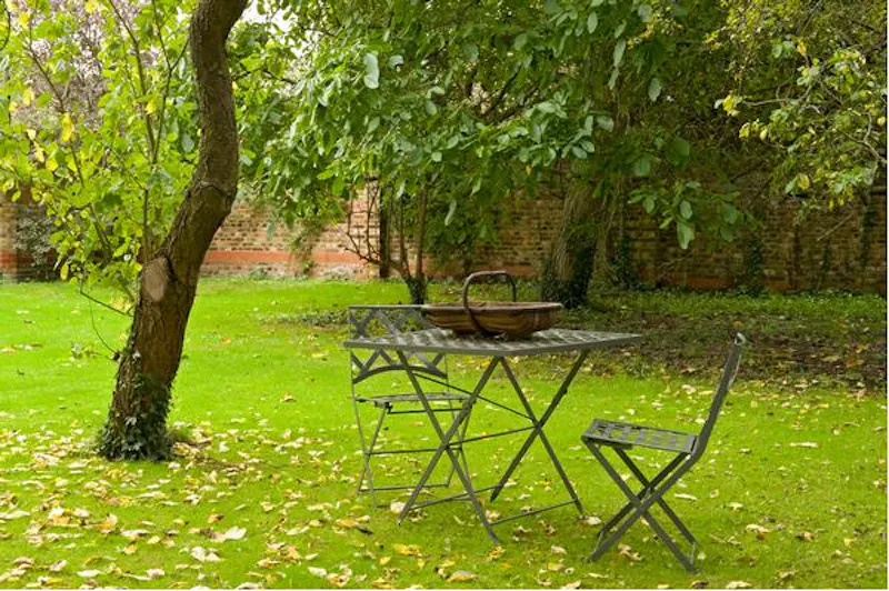 Garden at Stills townhouse in Enfield, A1246 (photo 38)