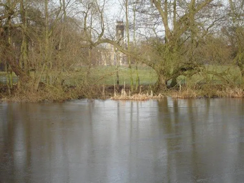 Victorian Gothic estate in Snaith, G277 (photo 45)