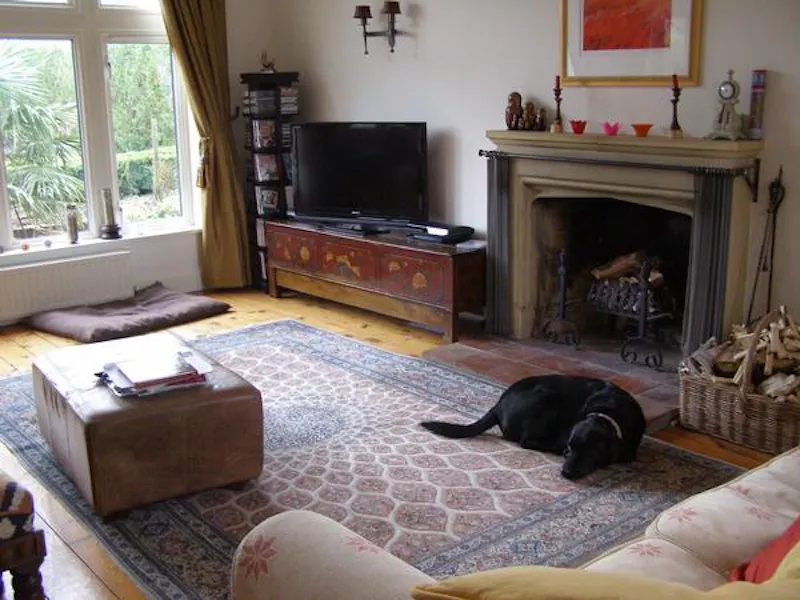 Fireplace at Motcombe 19th Century house, B1545 (photo 4)