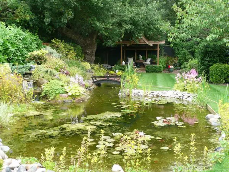Pond at Film location D2059 in Merseyside (photo 17)