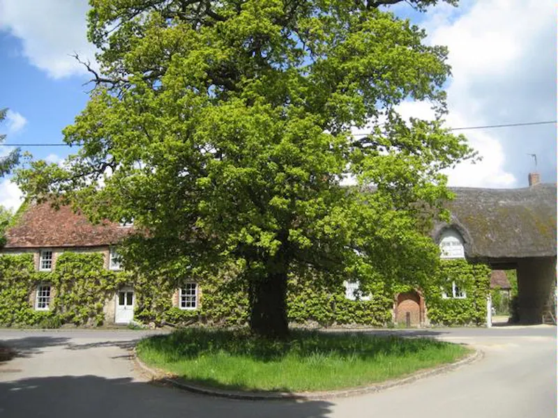 Manor House in Bicester, A1000 (photo 3)