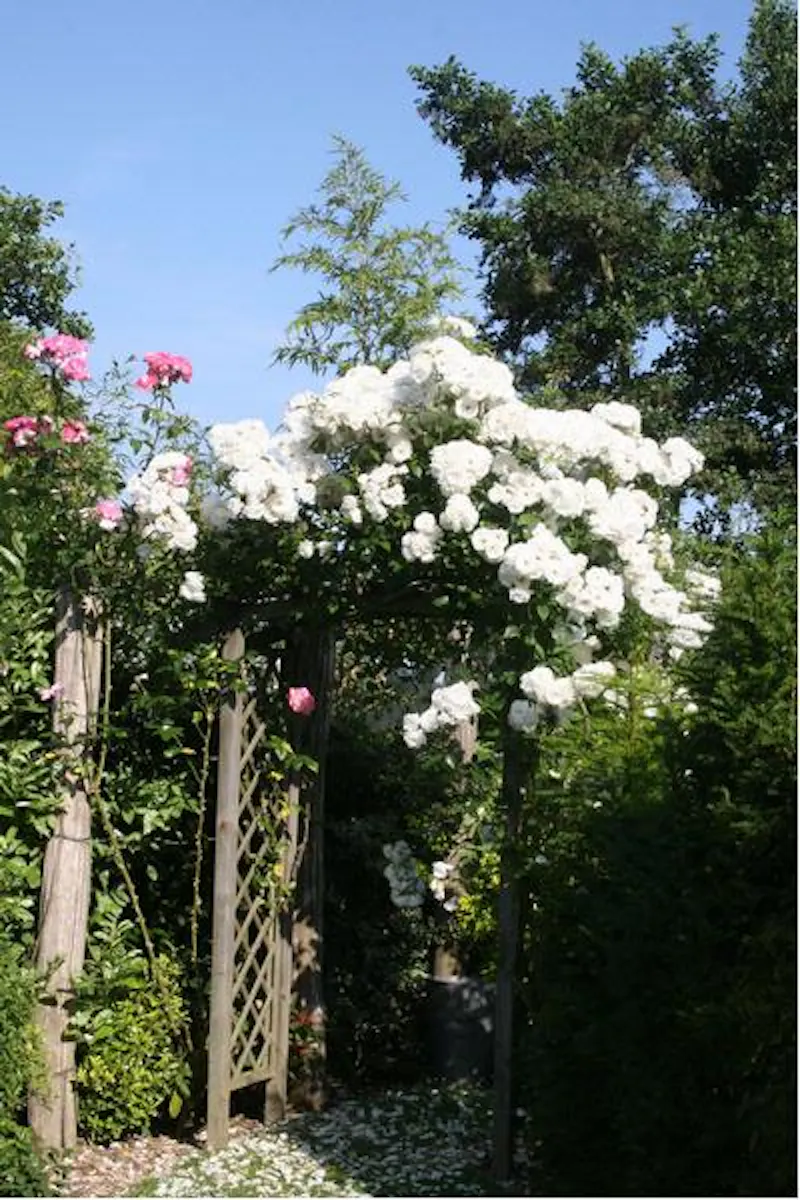 Film location L628 in Kent (photo 26)