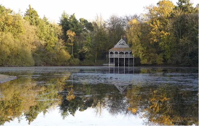Lake at Shoot and stay in King's Lynn, E349 (photo 48)