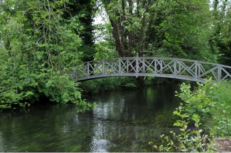 Lake at Film location B1553 in Berkshire (photo 11)
