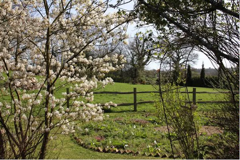 Film location C812 in West Sussex (photo 32)
