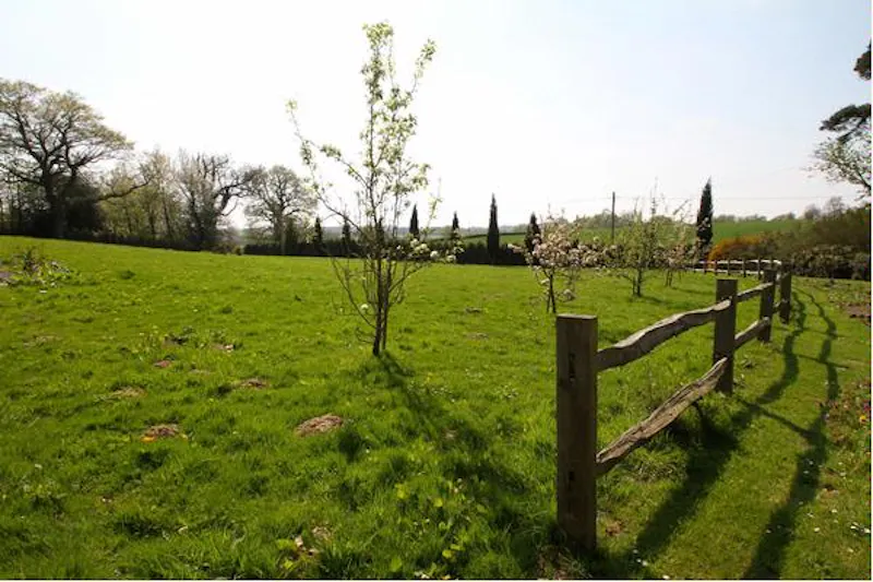 Film location C812 in West Sussex (photo 33)